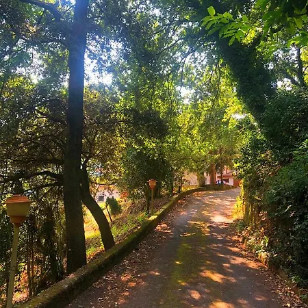 Contarini * Librizzi